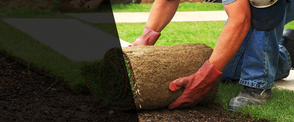 Reynoldsburg Landscapers